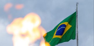 Reprodução: pexels