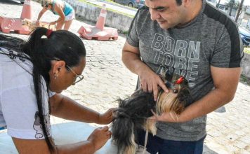 Governo amplia ações do Programa Paraíba Pet com mais de 480 castrações em sete municípios