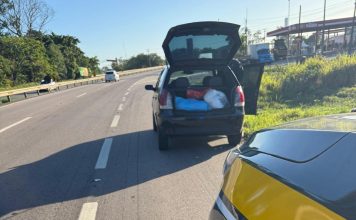 Pai e filho são presos transportando cerca de 25 quilos de maconha na região metropolitana da Capital