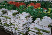 Governo da Paraíba distribui 520 toneladas de sementes com agricultores de todo Estado