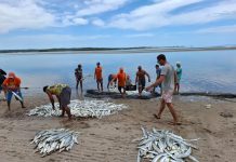 Incra/PB cria o primeiro Projeto Agroextrativista Pesqueiro da Paraíba