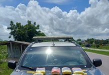 PRF desarticula transporte de drogas, captura de foragido Justiça e apreende veículo utilizado em assalto