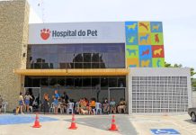 Prefeitura de João Pessoa promove Dia D da Causa Animal nesta terça-feira