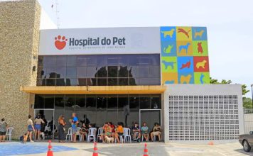Prefeitura de João Pessoa promove Dia D da Causa Animal nesta terça-feira