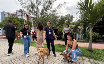 Sepa resgata cadela vítima de maus-tratos e aciona forças de segurança em João Pessoa