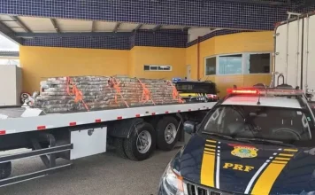 PRF apreende na Bahia maconha que tinha como destino a Paraíba