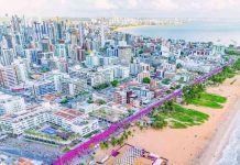 Últimas inscrições: Maratona de João Pessoa reúne atletas de 465 cidades brasileiras e 7 países