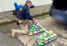 PRF apreende 76 quilos de haxixe avaliados em R$ 5 milhões, o maior volume da droga da história na Paraíba
