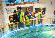 Aquário Paraíba fortalece turismo educativo com experiências de conscientização ambiental