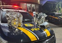 PRF na Paraíba apreende mais de 10 kg de entorpecentes em Sobrado