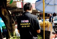 Preço da mão do milho in natura tem diferença de R$ 50 em pesquisa realizada pelo Procon-JP