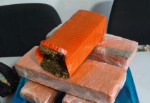 Polícia Civil prende casal em flagrante e apreende cerca de 6 kg de drogas, no Sertão do Estado