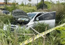 Casal de idosos morre após ser atropelado por carro na BR-101